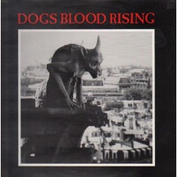 93 Current 93 ‎– Dogs Blood Rising|1988     L.A.Y.L.A.H. Antirecords ‎– LAY 8