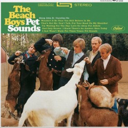 Beach Boys The ‎– Pet...