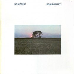 Metheny ‎Pat – Bright Size...