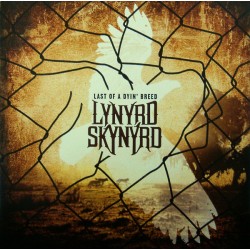 Lynyrd Skynyrd ‎– Last Of A...