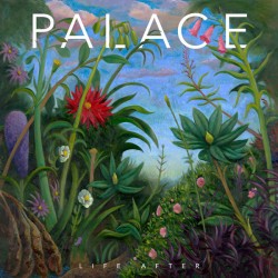 Palace  ‎– Life After|2019...