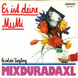 Mixduradaxl ‎– Es Ist Deine...