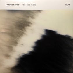 Cohen Avishai ‎– Into The...