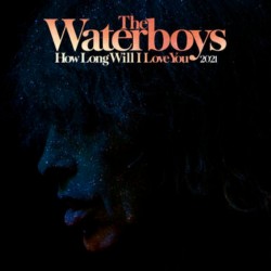 Waterboys ‎The – How Long...