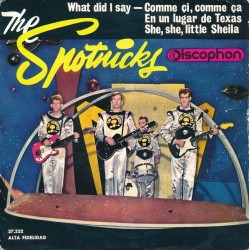 The Spotnicks – What Did I...