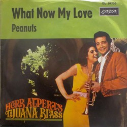 Herb Alpert And The Tijuana...