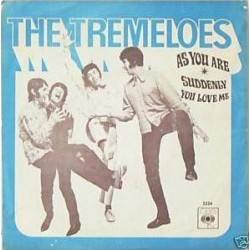 The Tremeloes – As You Are...