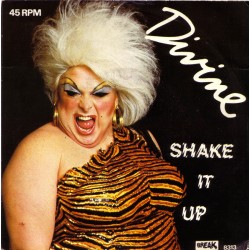 Divine – Shake It Up|1983...