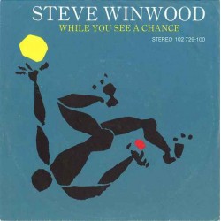 Steve Winwood – While You...