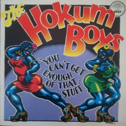 The Hokum Boys – You Can't...