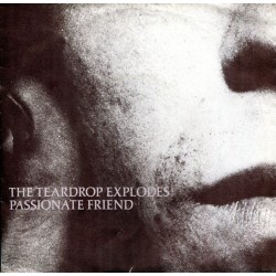 The Teardrop Explodes –...