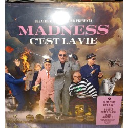 Madness – Theatre Of The...