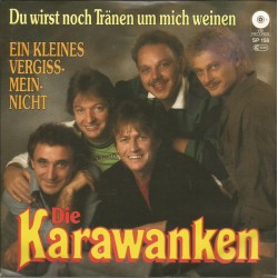 Die Karawanken  – Du Wirst...