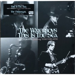 The Waterboys – This Is The...