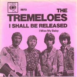 The Tremeloes – I Shall Be...