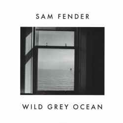 Sam Fender ‎– Wild Grey...