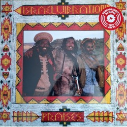 Israel Vibration – Praises...