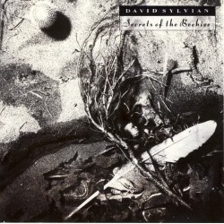 David Sylvian – Secrets Of...