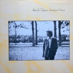 David Sylvian – Brilliant...