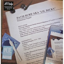 Lil Dicky – Professional...