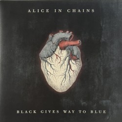 Alice In Chains – Black...