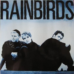 Rainbirds ‎– Rainbirds|1987      Mercury	834 023-1