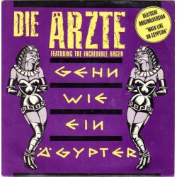 Die Ärzte feat. The...