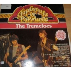 Tremeloes ‎The – Top Groups Of Pop Music|1981       Memory	296 987