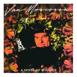 Morrison Van ‎– A Sense Of Wonder|1984     Mercury ‎– 822 895-1